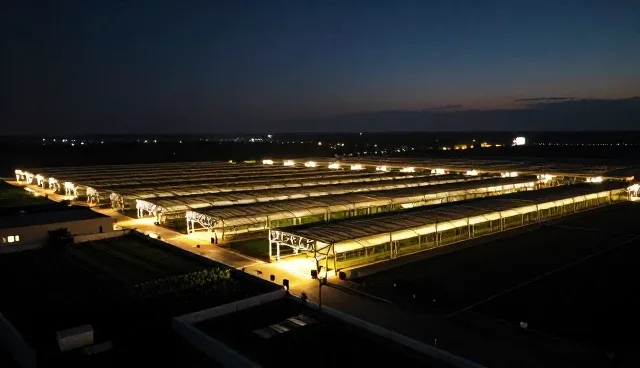 成都企业网站建设,如何提升推广效果